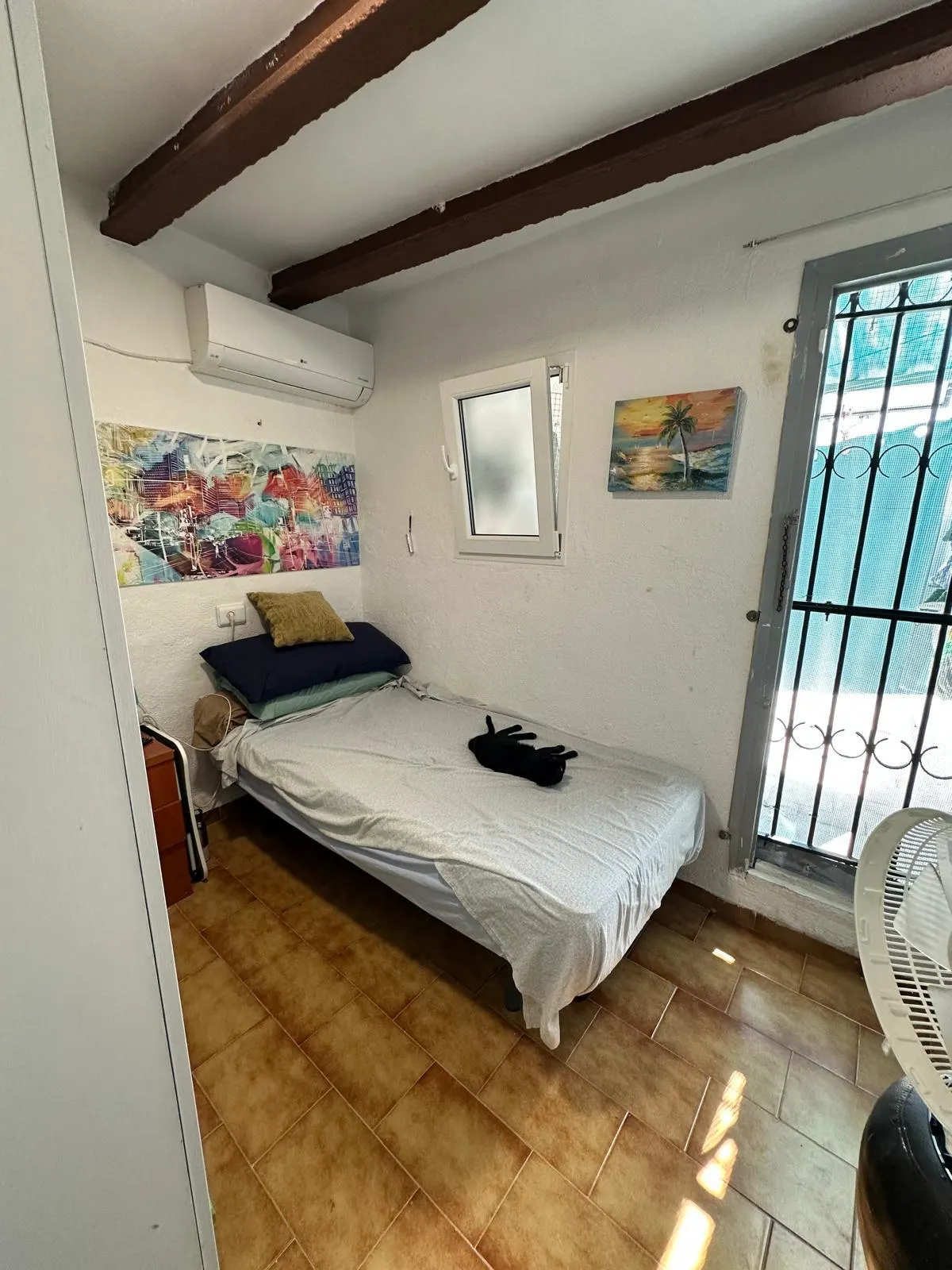 WhatsApp Image 2025-11-10 at 11.12.28